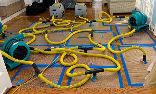 Professional Basement Flood Cleanup technician working in Roswell, GA